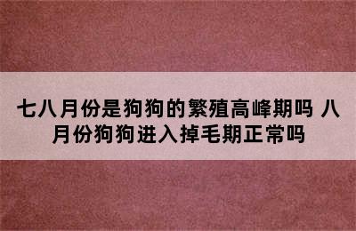 七八月份是狗狗的繁殖高峰期吗 八月份狗狗进入掉毛期正常吗